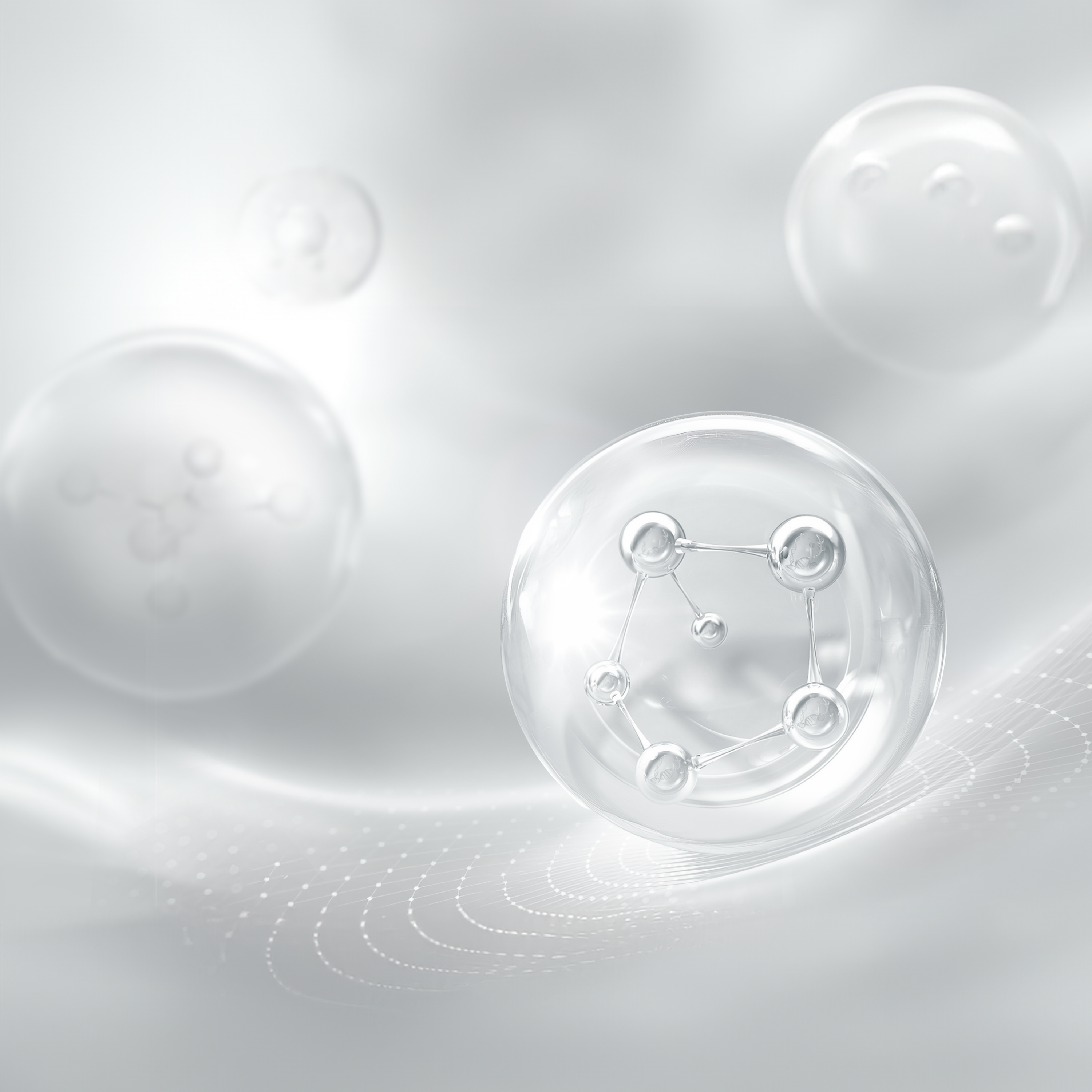 Square_Layout_Website_assets-2.png