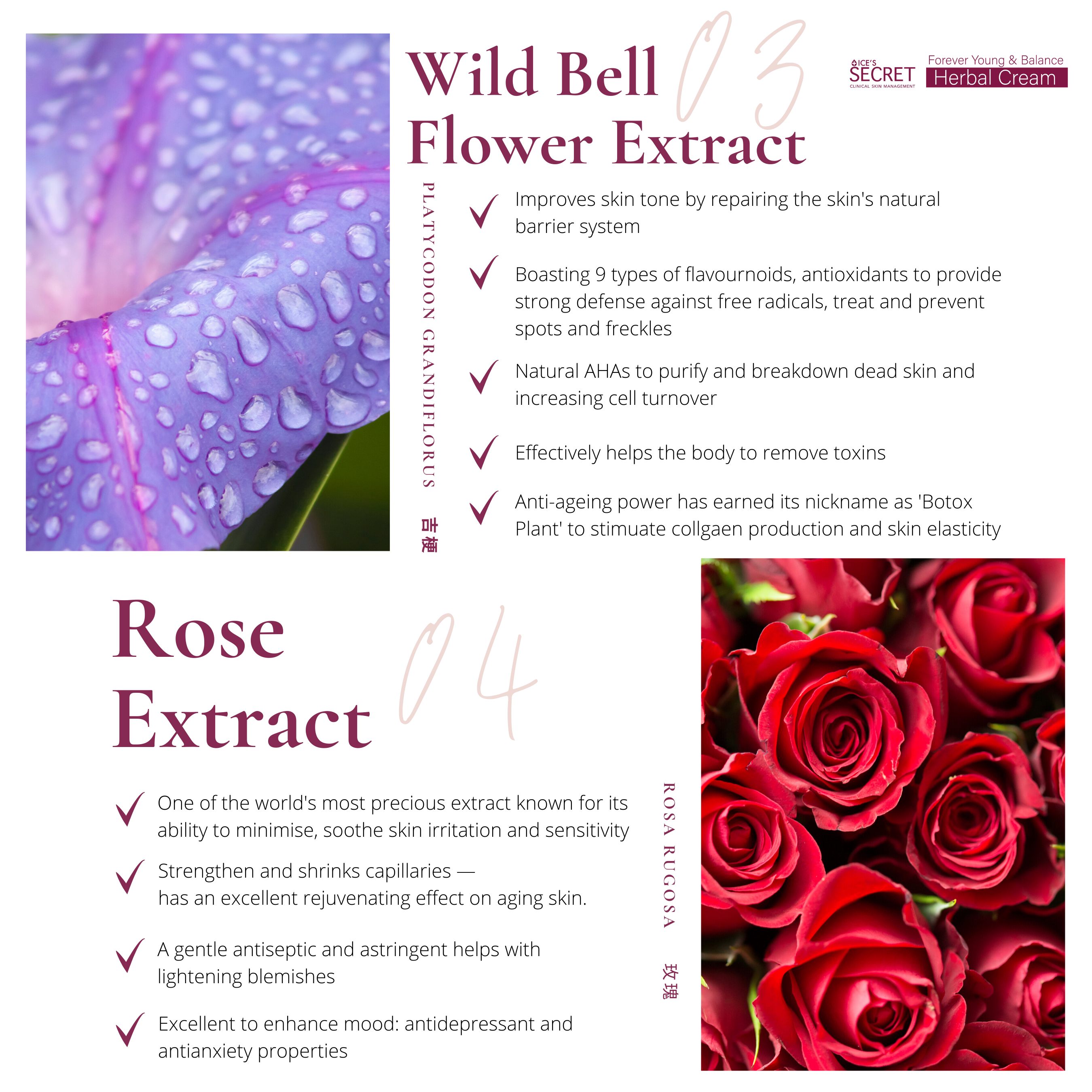 Forever Young & Balance Herbal Cream