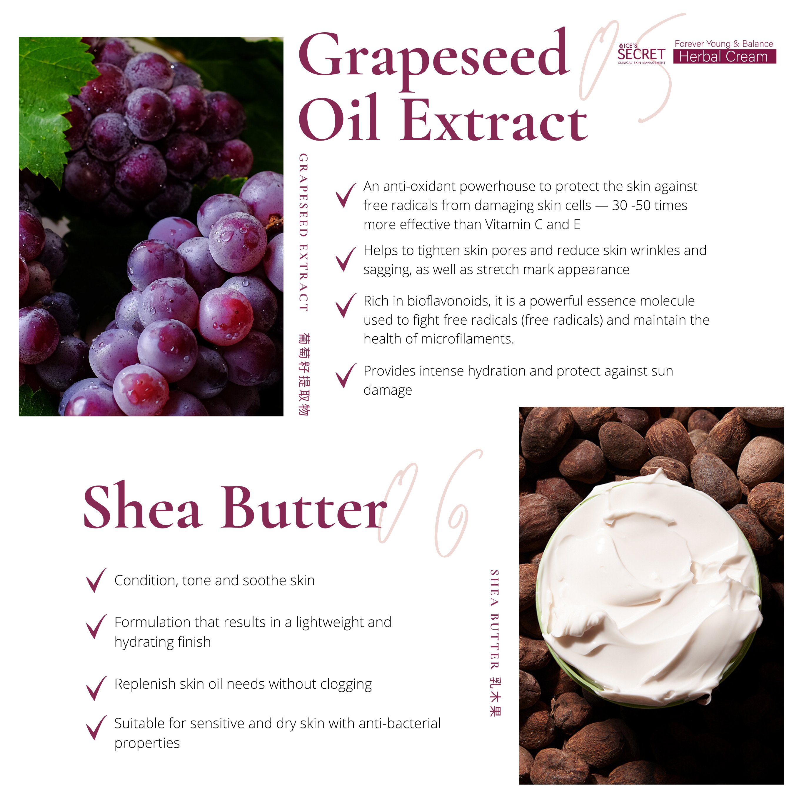 Forever Young & Balance Herbal Cream