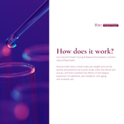 Forever Young & Balance Herbal Cream