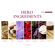 Forever Young & Balance Herbal Cream