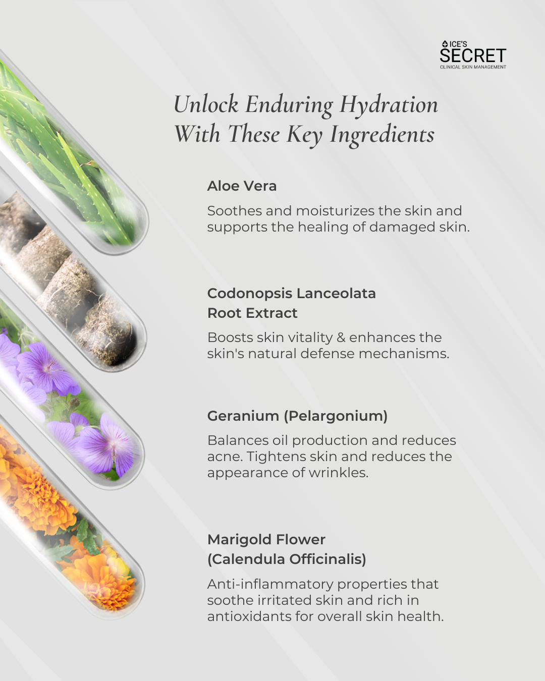 [BFCM] Oil-Free Refreshing Mask