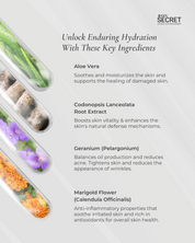 [BFCM] Oil-Free Refreshing Mask