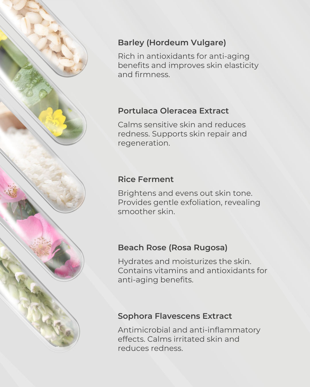 [BFCM] Oil-Free Refreshing Mask