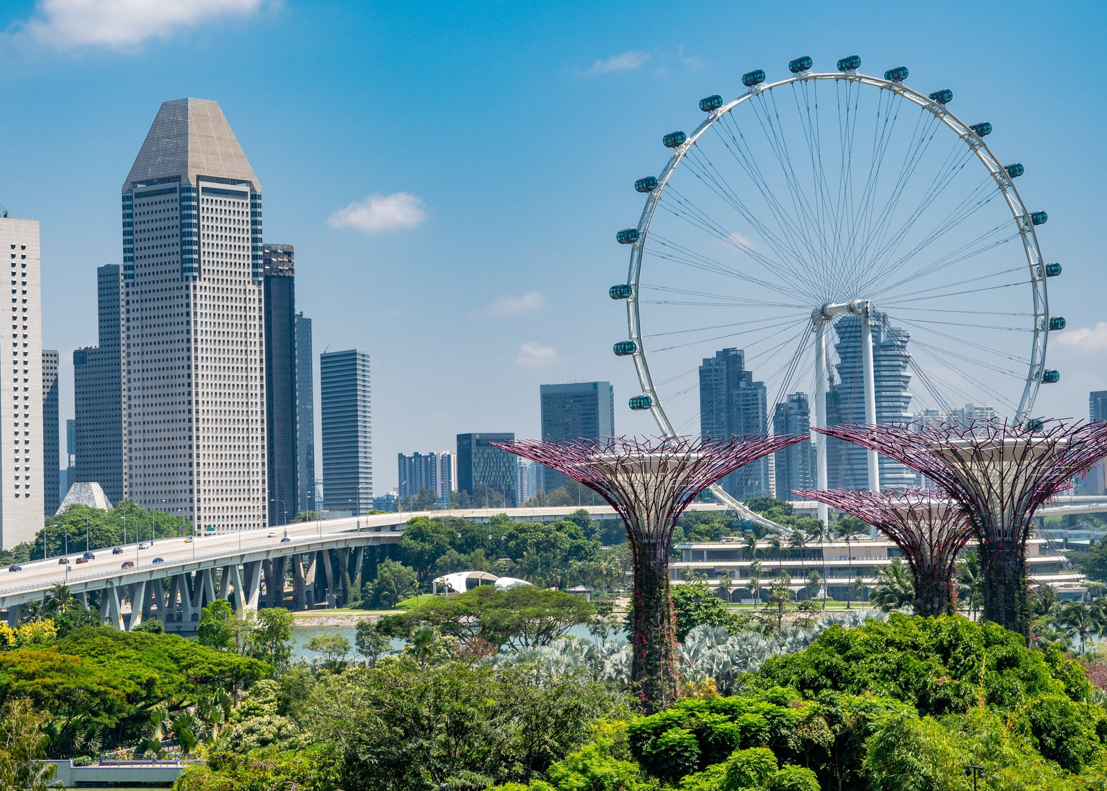 Singapore · 80% humidity
