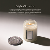 Ice's Secret Home Candle - Bright Citronella