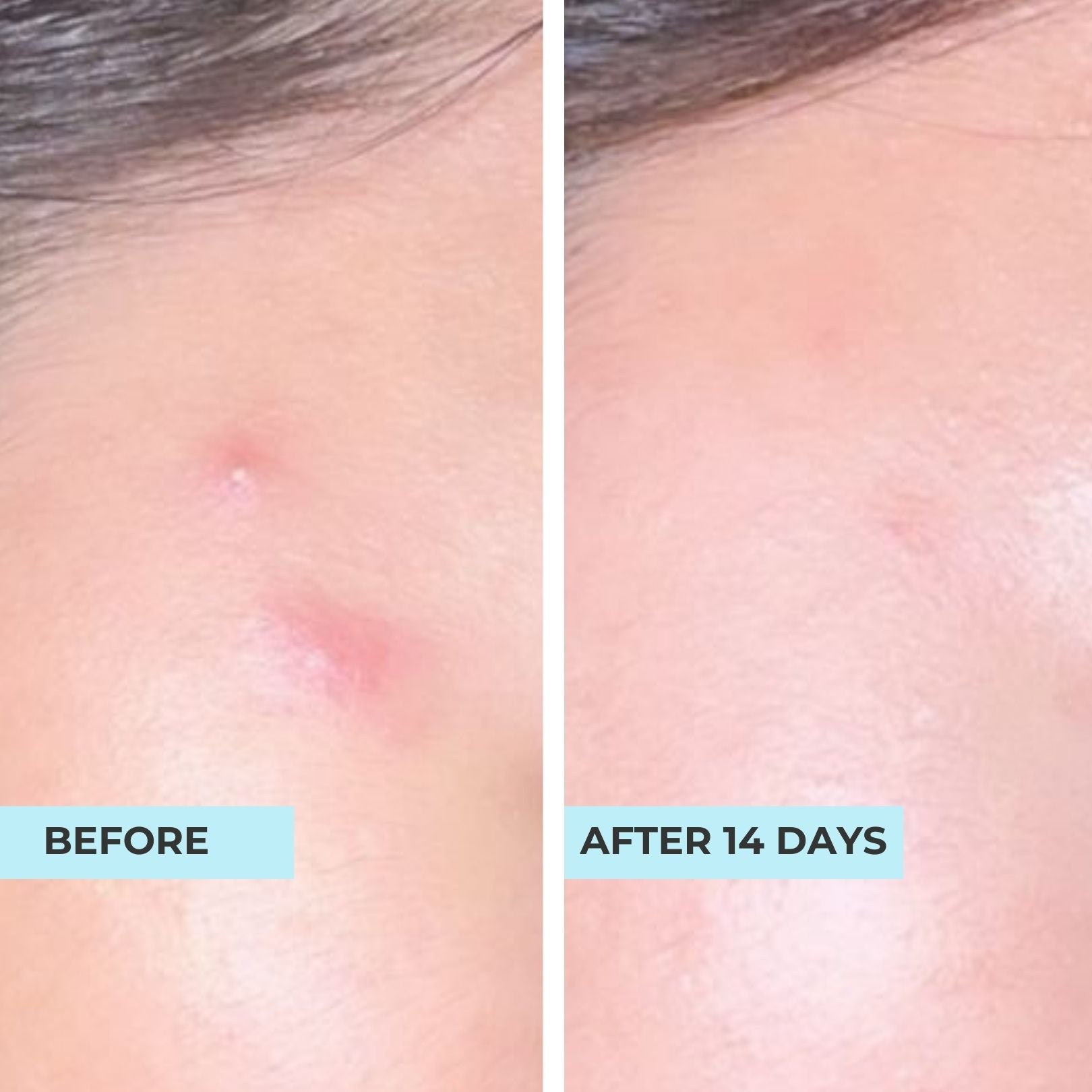 Daily Boost Advanced Oligopeptide Complex Serum
