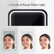 Ice's Secret LED Vanity Fridge with Mirror