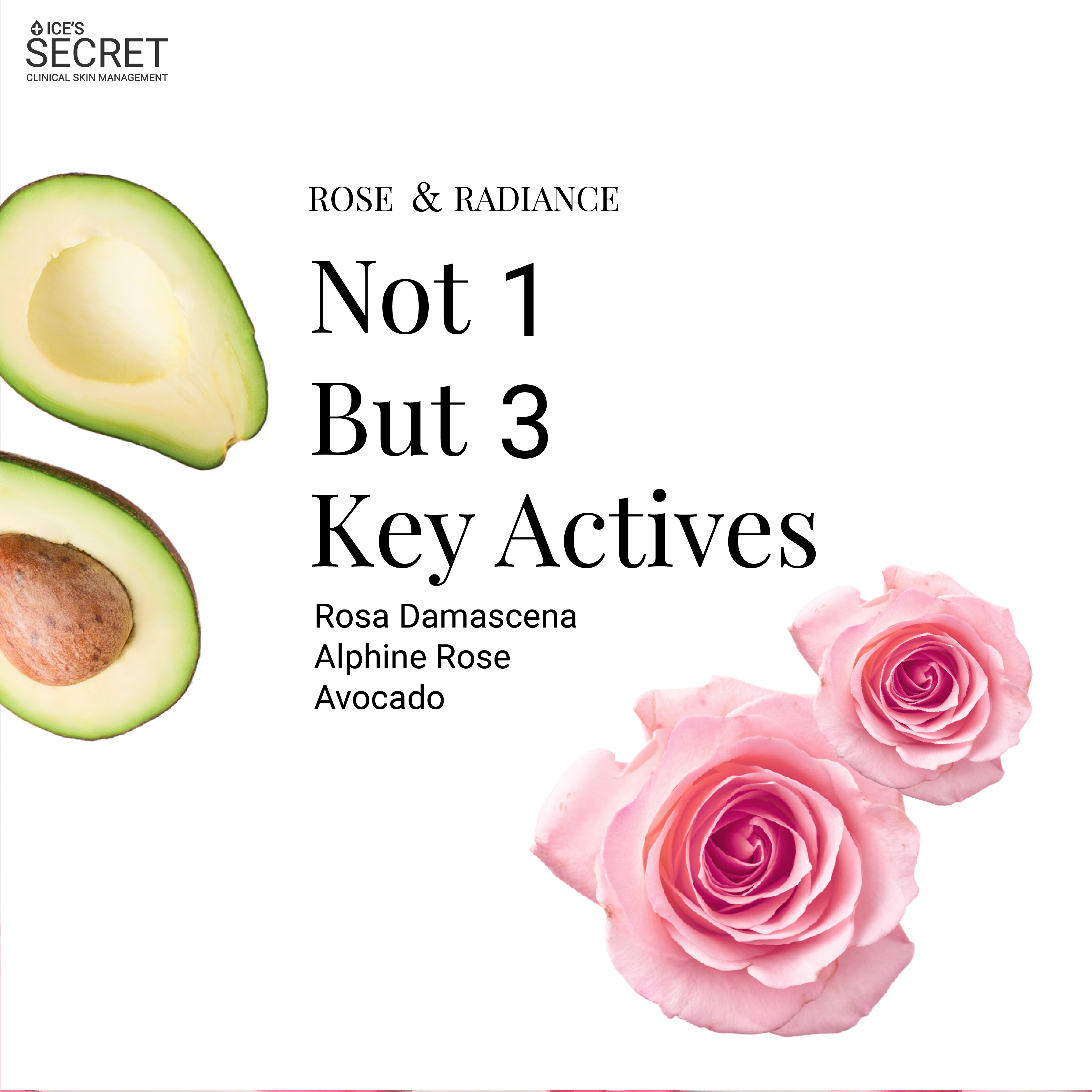 Rose & Radiance Exfoliator